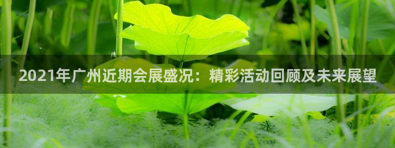 果博注册充值怎么退款：2021年广州近期会展盛况：精彩活动回顾及未来展望