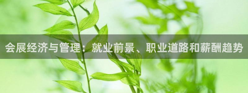 果博手机下载：会展经济与管理：就业前景、职业道路和薪酬趋势