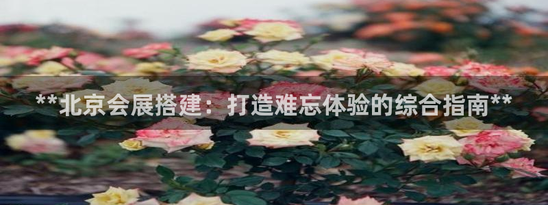 果博公司开户注册：**北京会展搭建：打造