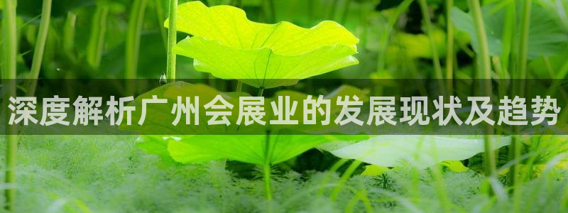 果博公司会员注册账号：深度解析广州会展业