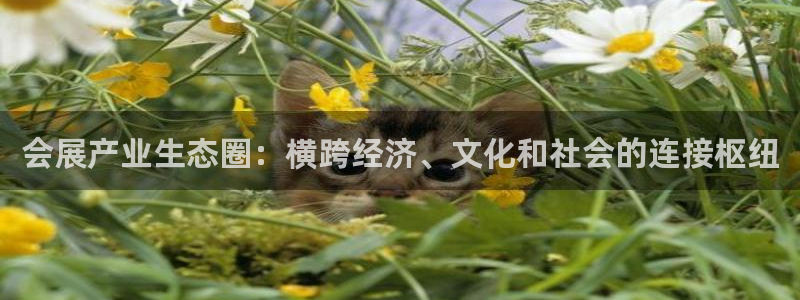 果博平台赖不赖：会展产业生态圈：横跨经济