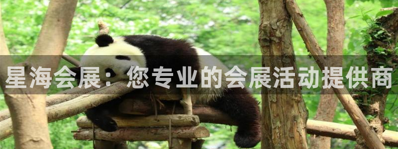 果博公司游戏网址：星海会展：您专业的会展活动提供商