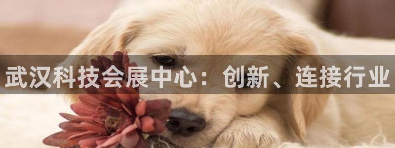 果博注册会员要钱吗：武汉科技会展中心：创