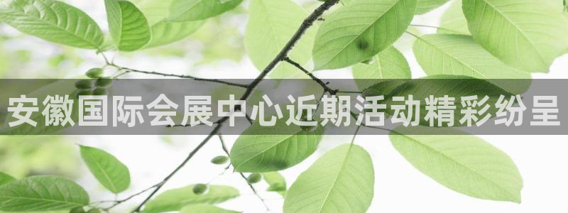 果博注册平台怎么注册：安徽国际会展中心近