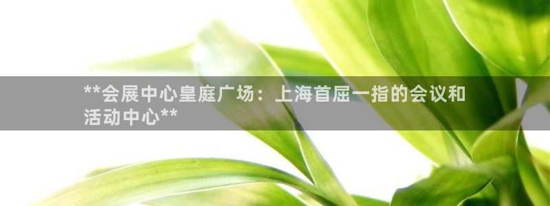 果博平台真实吗知乎：**会展中心皇庭广场