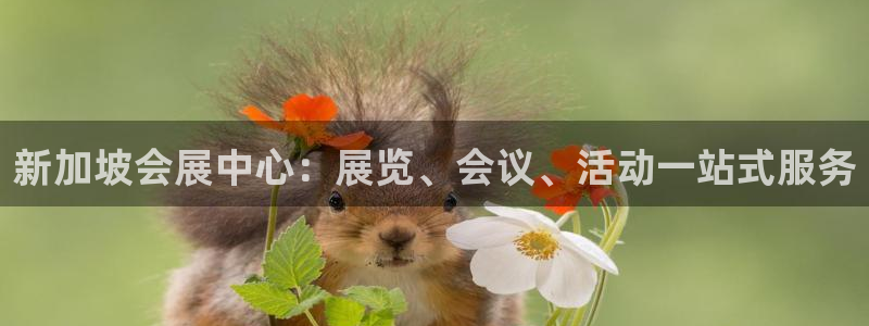 果博公司开户热线：新加坡会展中心：展览、