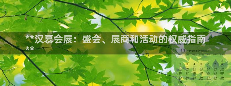 果博代理：**汉慕会展：盛会、展商和活动