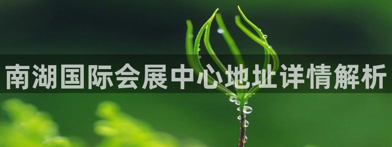 果博注册会员要钱吗：南湖国际会展中心地址