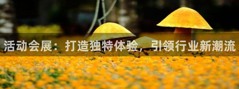 果博官网客服电话号码查询：活动会展：打造